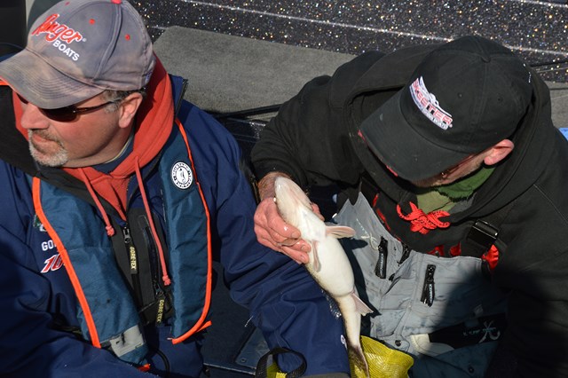 8C6A05C7-EE6A-4893-A84E-5BEE589CD57B