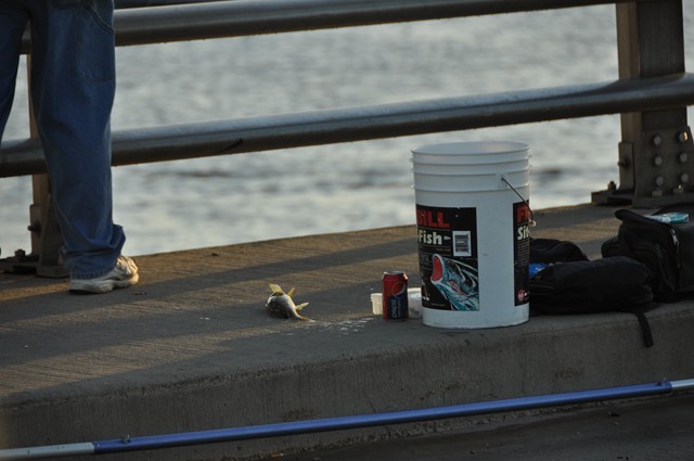 8CEA54F6-F3A8-4B46-BE33-2214D9C3C839