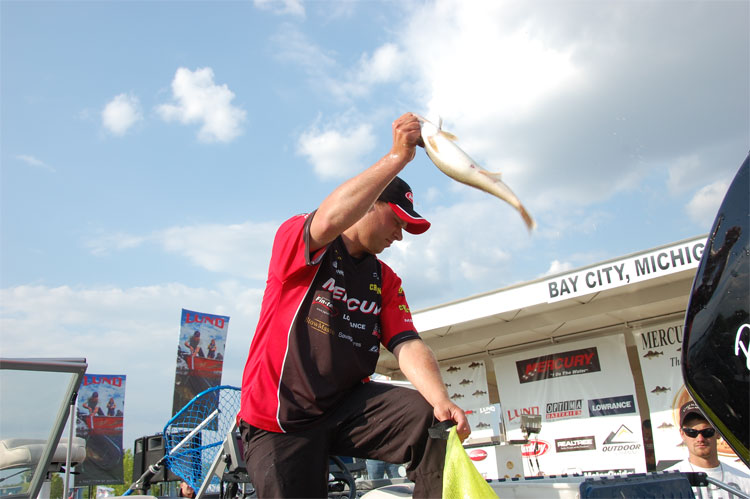 8D371D10-B057-472B-8626-90BB43EDA90A