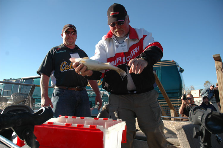 8D586BEC-CC32-4828-B5E6-FD3EEA19B32C