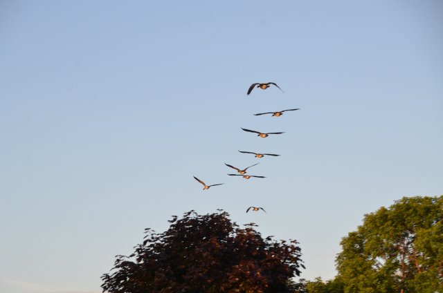 8D5FABDF-69D4-439C-9897-4F9C36941AE3