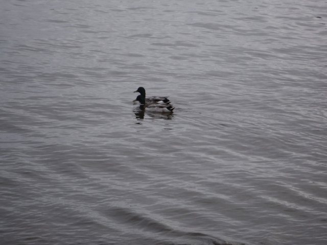 8DA9305D-055C-4C36-A3B8-D74A1C3BF22E