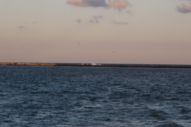 8DB877CA-7038-4575-B4AC-1560D9028D9C