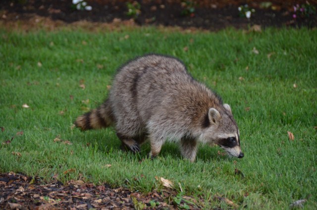 8DBE27EB-0C59-4B36-B6B3-43E9AB4B88EB