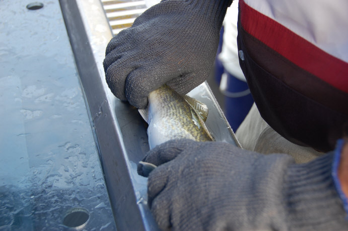 8E45CA12-23D3-48B1-84AF-F0E4B771FC5B