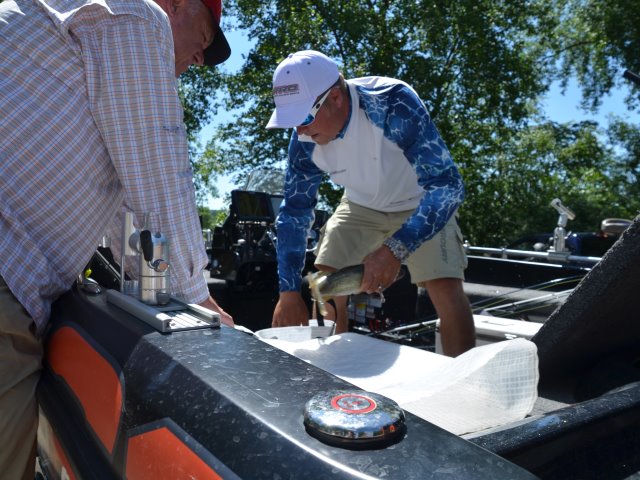 8FCEB3CB-0723-437A-9902-A9991A154E35