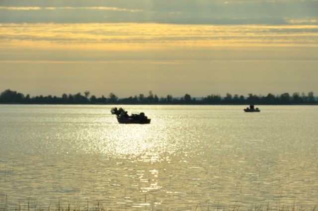 8FFAB553-D576-48EA-8460-74E639054914