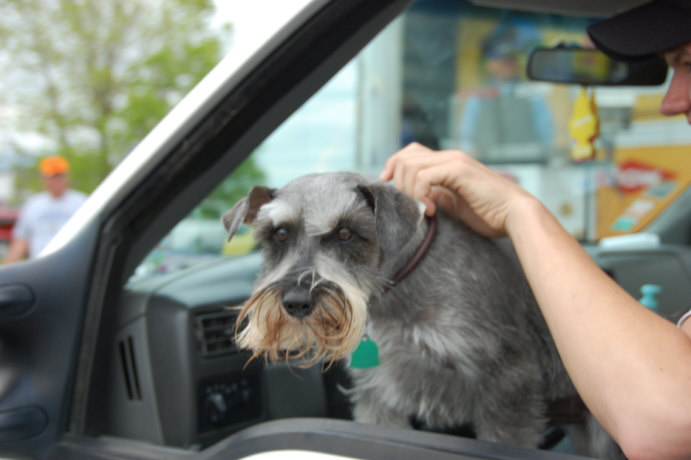 9043814F-7390-449C-B5FC-79E78C268E54