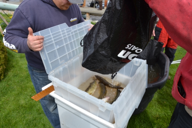 905CFE16-810D-458E-84D2-F8D8B34A0C2E