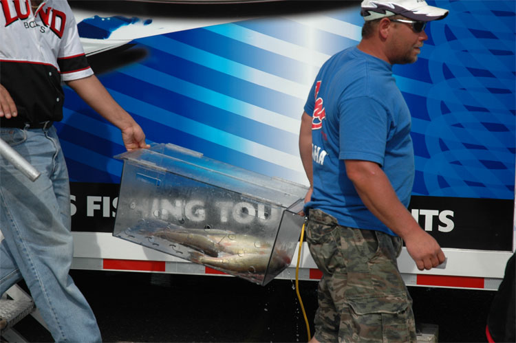 90E9E098-2243-42C0-8904-A3933C5EE9E2