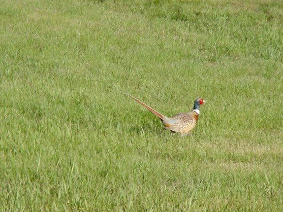 911D031B-8222-4E25-932E-5EE8E7E8E3F3