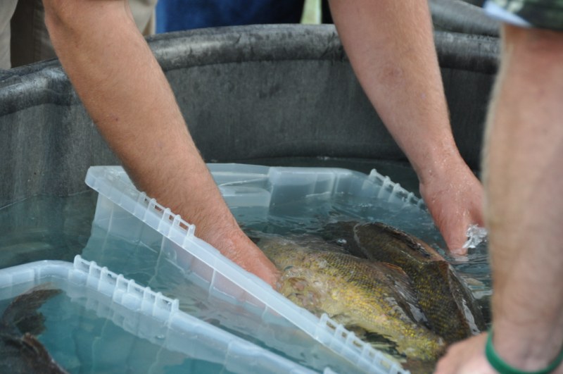 92547E97-96FE-45C9-A8CD-177FBD8330C8