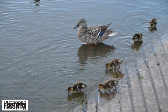 92D60A27-1153-4BC7-B993-3553C5E255A6