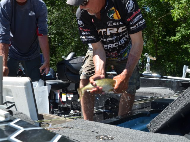 9498A066-6E5B-45F5-B7FD-51A869752A14