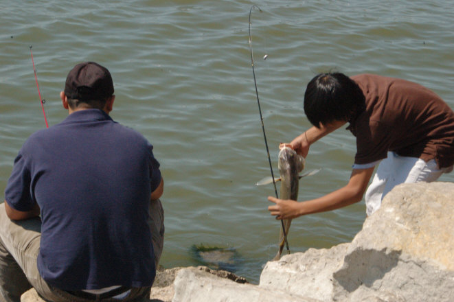 954C242D-36D4-4247-960E-281990087A8B