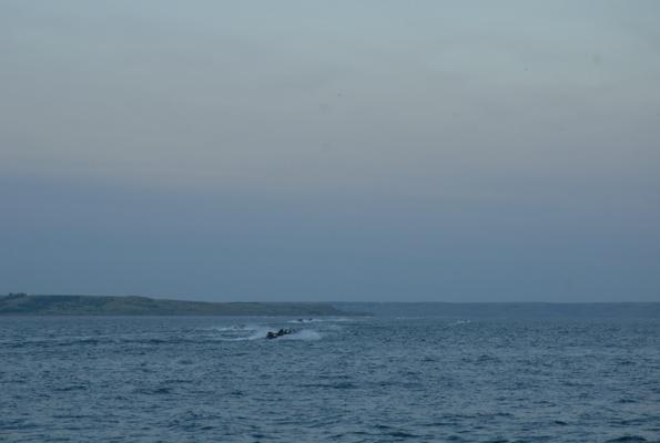 97184B60-2ED5-439D-ABF5-68EB3ABA38EB