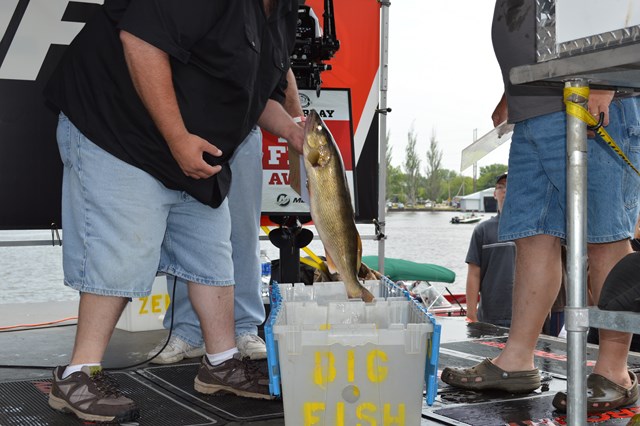 9789F5AB-8347-4D17-B5A6-13B87DD8EC62