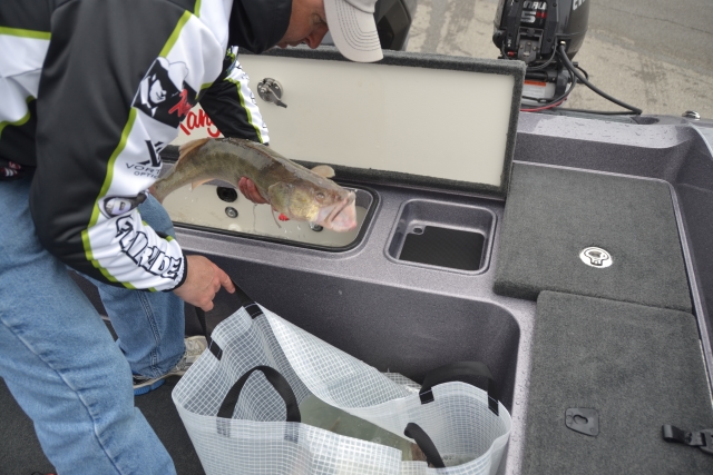 97D1148F-03DD-4D19-AF78-C3B8808C3CDB