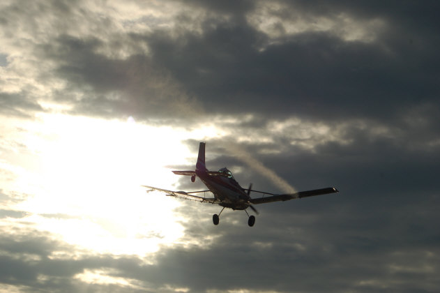 9816DE4C-4F8B-4E41-B2D9-1EFA8E8C974A