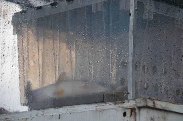 987BE9F9-FB31-4611-A441-06AB31F432F9