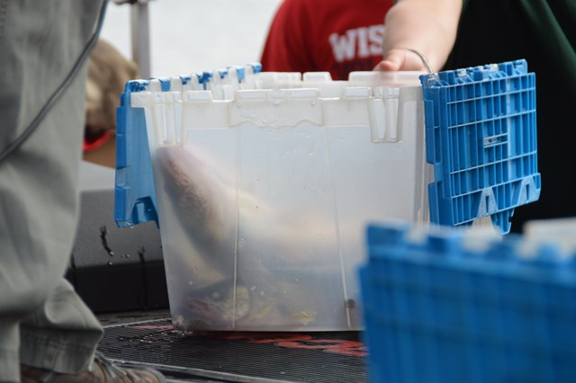 98B4AD01-41C2-4EC8-9FAE-0A761670FC79