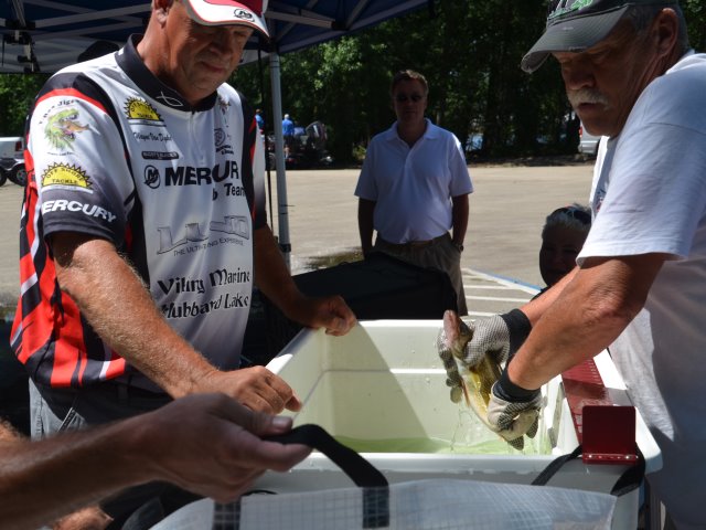 9919A3D5-EBDF-4621-A0A4-DF70A90777ED