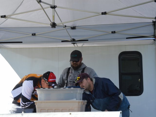 999404F8-8D64-4567-97DD-FF09BCB272A5