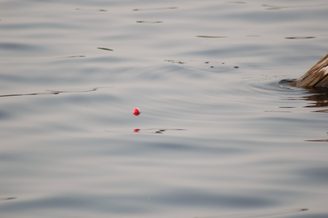 9A2C8593-FBDB-4027-BF76-EA1E15571D6F