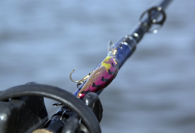 9A6FCF04-4546-4CFF-9C8D-CFFE40177762