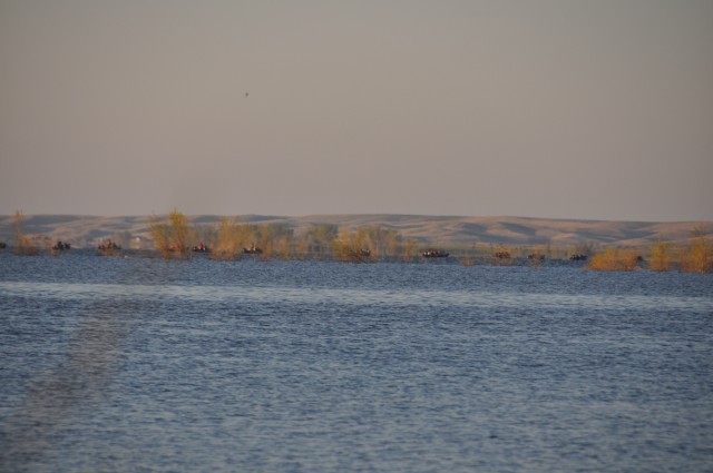 9B05191E-F591-4D62-BD95-8EADACD9C532