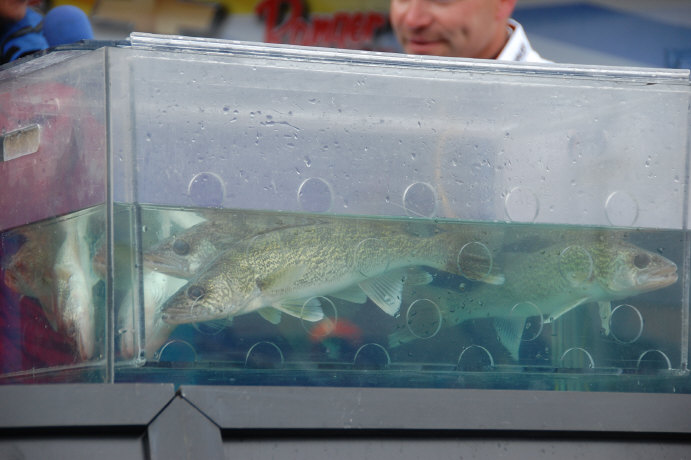 9D0FF254-58D8-404B-90B3-9727436B26C3