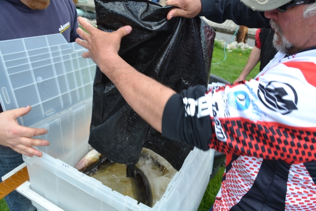 9D1F4F61-CB1D-4323-8E25-4AD231E88BF7