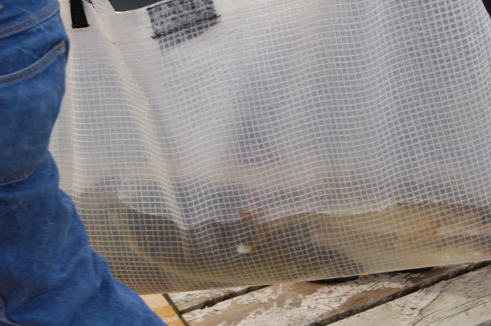 9D389590-1738-455A-A46C-B4A02F96004A