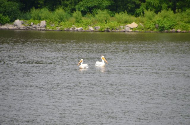 9E75361C-C749-4312-B189-94DD9D48F1EF