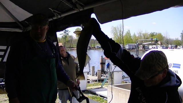 9E9EB48A-1F05-422A-8FBC-06DB3B5BC7F8