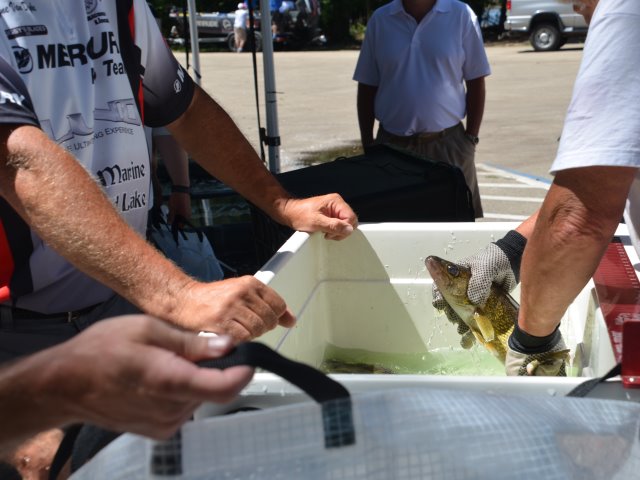 9EE84EAF-C0D2-4A20-BC8A-F292421071B8