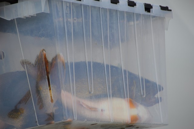 A0893D48-8197-41F7-8605-0EBFDC22B853