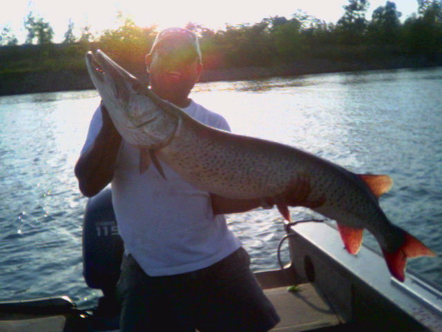 A142E53D-D601-42A1-A173-6511E803FDB7