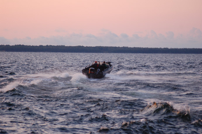 A19F8030-2D30-4598-81A8-2E08D10F24CE