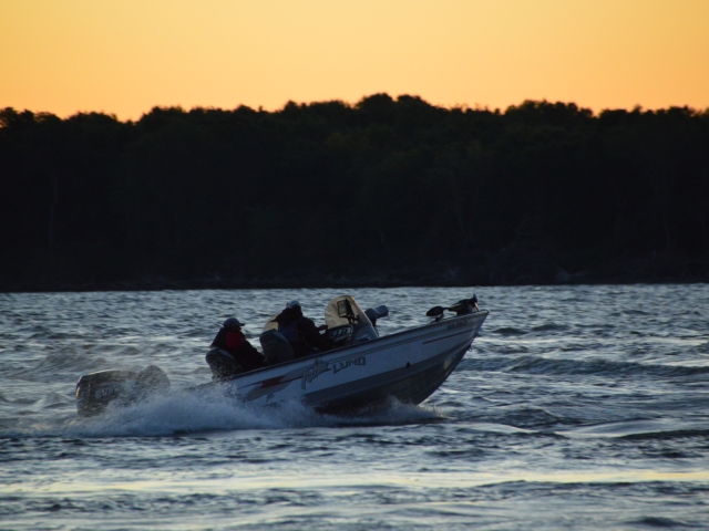 A1A316D3-3FDA-4A86-88AF-B8147C5B62D3