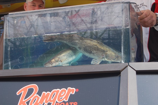 A24D05D8-85D5-4B0C-AA48-C823D4894574