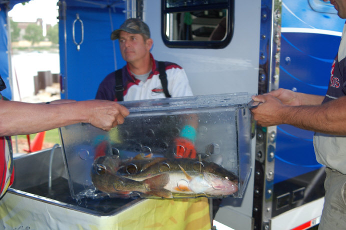 A2E24CAF-1855-4D9F-9335-ADF55832970C