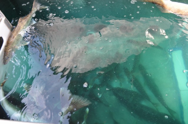 A3041CFB-FF52-49C5-BFFE-6010D83DE273