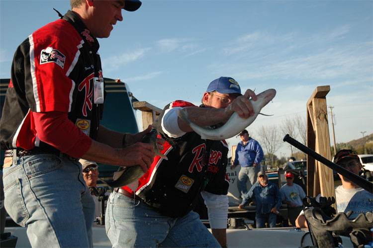 A3E153C5-D526-439D-ABFA-84358F456219