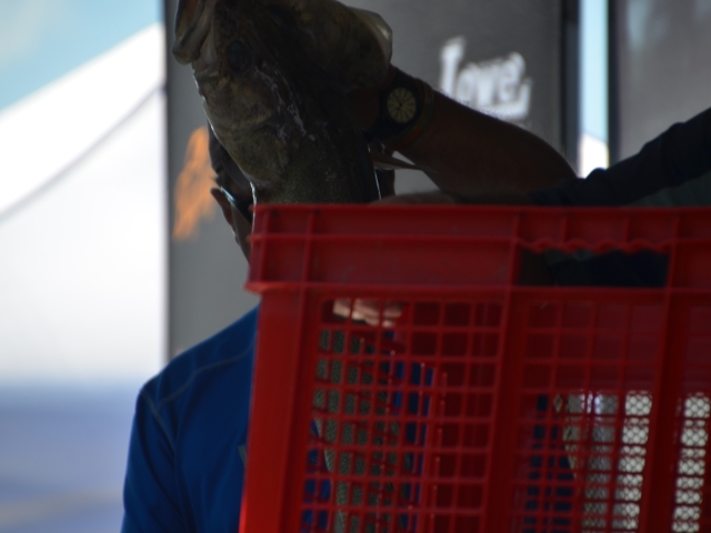 A3F734CF-4525-402B-A601-544ADBF7EF19