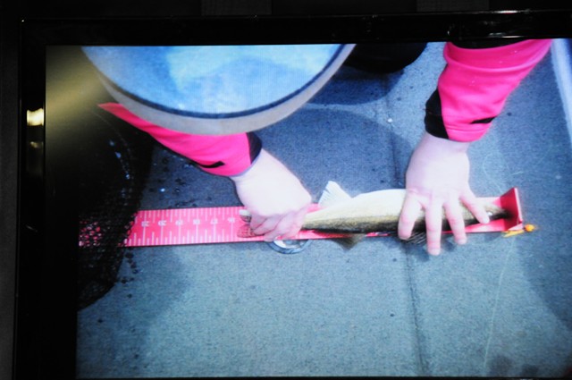 A4AA02DA-3525-4D3E-AB2F-B59AF3793C06