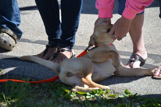 A558D403-9DED-4BA5-A0DD-75CDF055D31F