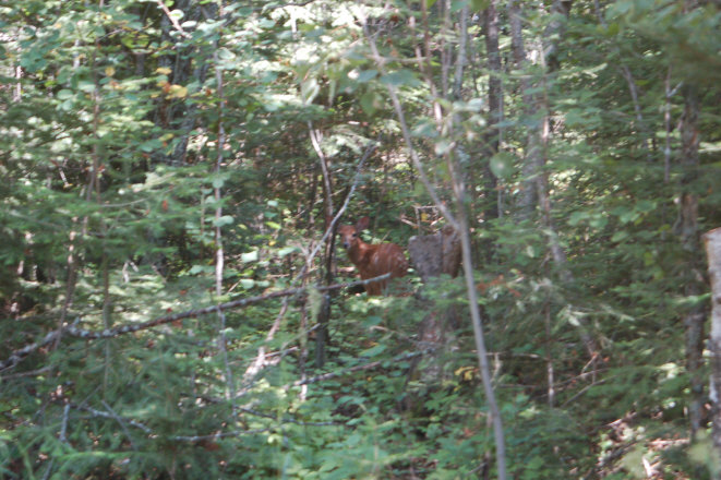 A6C66053-546E-4797-B4EA-30C71235E3DC