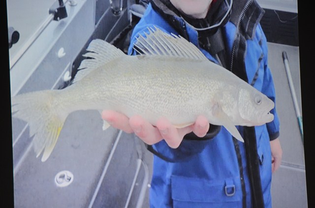 3F320D74-2F37-48D7-8FA6-A2E6D13291B2