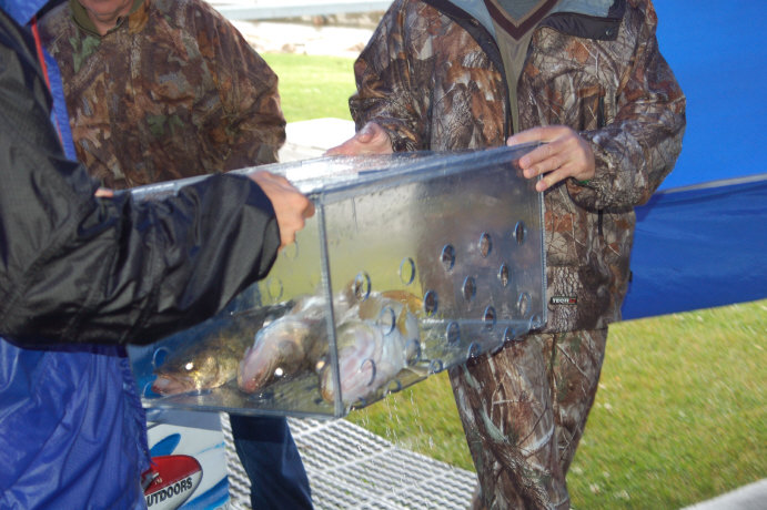 A7382911-55C7-448B-BD7D-9845C4070DAF